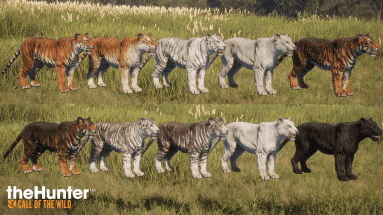 Journal des développeurs : Présentation du majestueux tigre du Bengale
