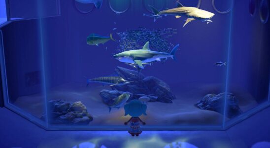 L'expérience de l'aquarium d'Animal Crossing est en tournée – voici comment cela fonctionne