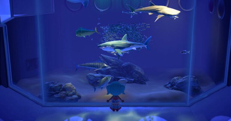 L'expérience de l'aquarium d'Animal Crossing est en tournée – voici comment cela fonctionne
