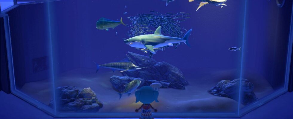 L'expérience de l'aquarium d'Animal Crossing est en tournée – voici comment cela fonctionne