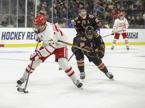 Macklin Celebrini (71) de l'Université de Boston patine avec le palet devant Elijah Gonsalves (16) de Rochester lors d'un match régional du tournoi de hockey universitaire masculin de la NCAA le 28 mars 2024, à Sioux Falls, SD