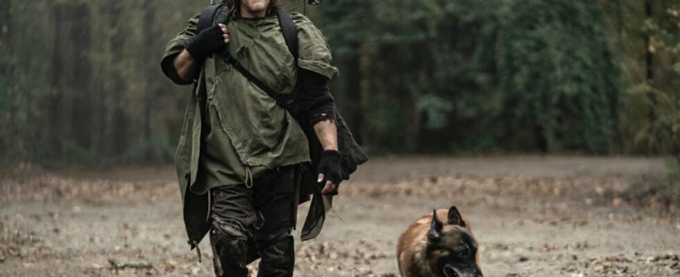 Seven, qui jouait le rôle du chien dans The Walking Dead, est décédé