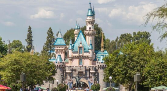 Un employé de Disneyland décède après être tombé en raison d'une voiturette de golf en mouvement dans un parc à thème