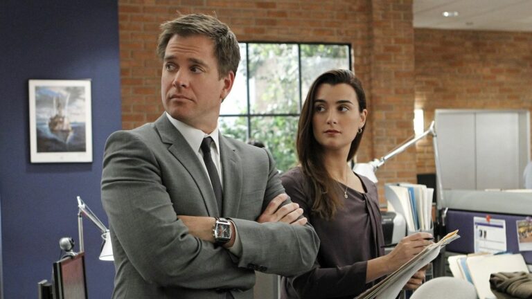 Michael Weatherly with arms crossed and Cote de Pablo holding some papers on NCIS