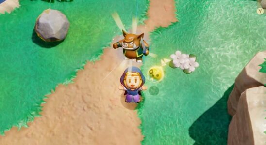 Zelda: Echoes Of Wisdom est le jeu le plus souhaité de la saison estivale