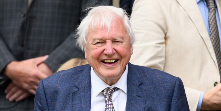 David Attenborough annoncé pour un nouveau projet télévisé, une première dans sa carrière
