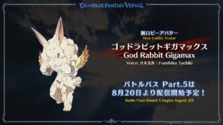 Granblue Fantasy Versus : Rising