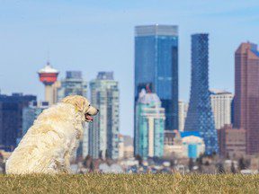 À toute vitesse : comment les déplacements de population « remodèlent rapidement » l’immobilier de luxe au Canada