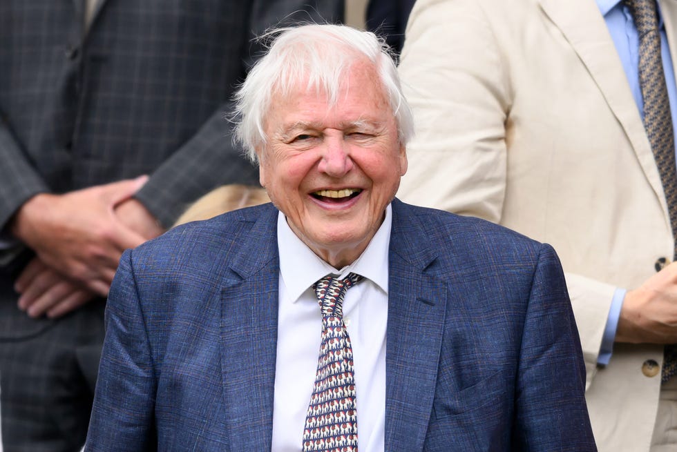 David Attenborough, Wimbledon