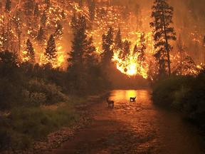 Joe Oliver : La méthode scientifique contrecarre l’alarmisme climatique