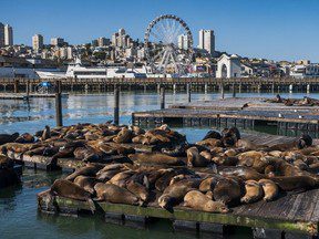 San Francisco et le comté de Sonoma : ambiance urbaine et côtes accidentées