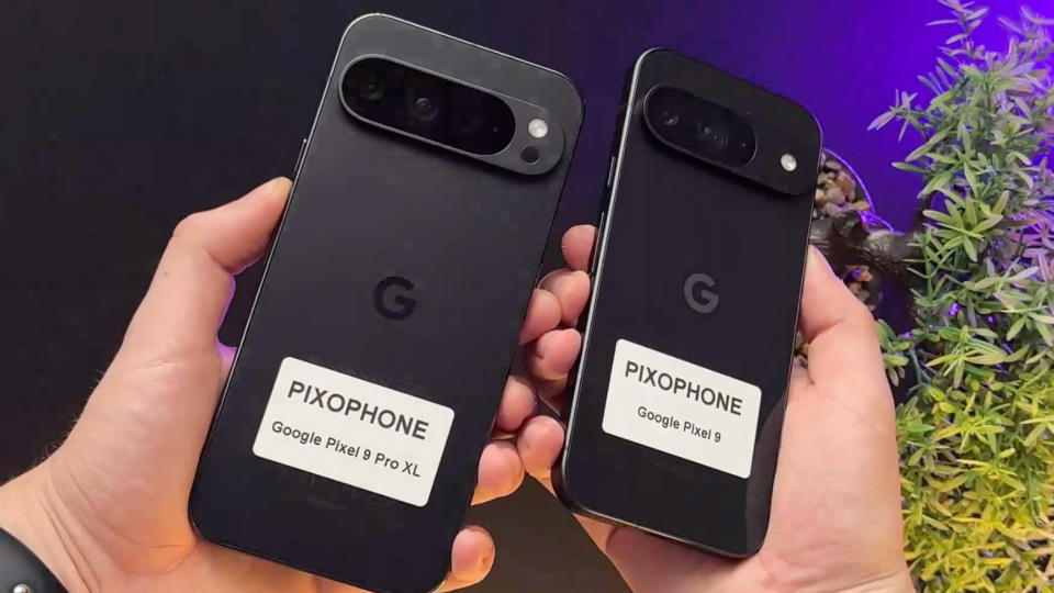 Deux prototypes présumés du Pixel 9 XL (à gauche) et du Pixel 9 en main. Fond violet et vert.