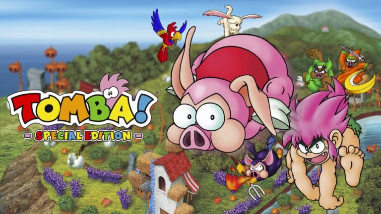 Jeu de Tomba Special Edition
