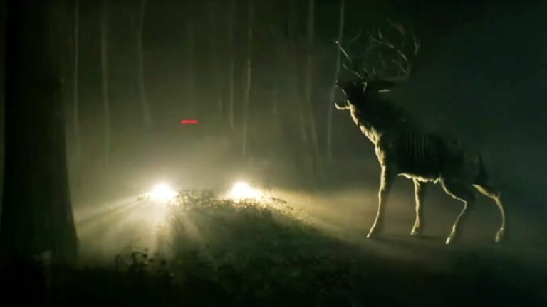 The titular deer attacks a car in 