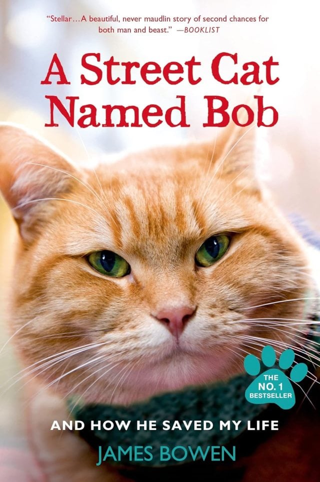 Couverture du livre Un chat des rues nommé Bob de James Bowen