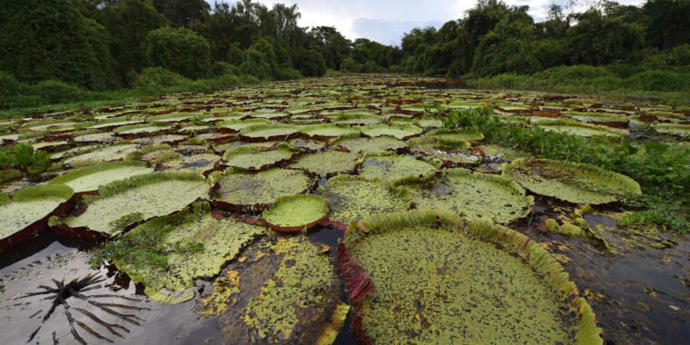 Les rétroactions du changement climatique entraînent une augmentation des émissions naturelles de méthane