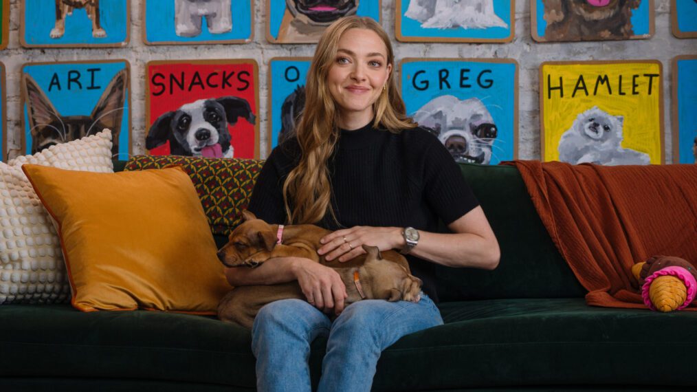 Amanda Seyfried for Clear the Shelters campaign