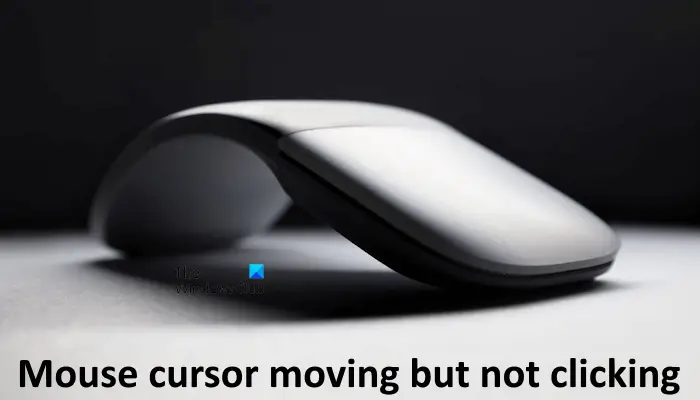 Le curseur de la souris se déplace mais ne clique pas dans Windows 11