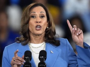 La vice-présidente Kamala Harris s'exprime lors d'un événement de campagne au Hendrick Center for Automotive Excellence du Wake Tech Community College à Raleigh, en Caroline du Nord, le vendredi 16 août 2024.