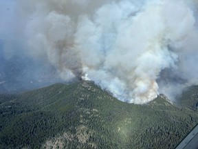 L'incendie de forêt de Shetland Creek brûle près de Spences Bridge, en Colombie-Britannique, sur une photo distribuée le 1er août 2024.