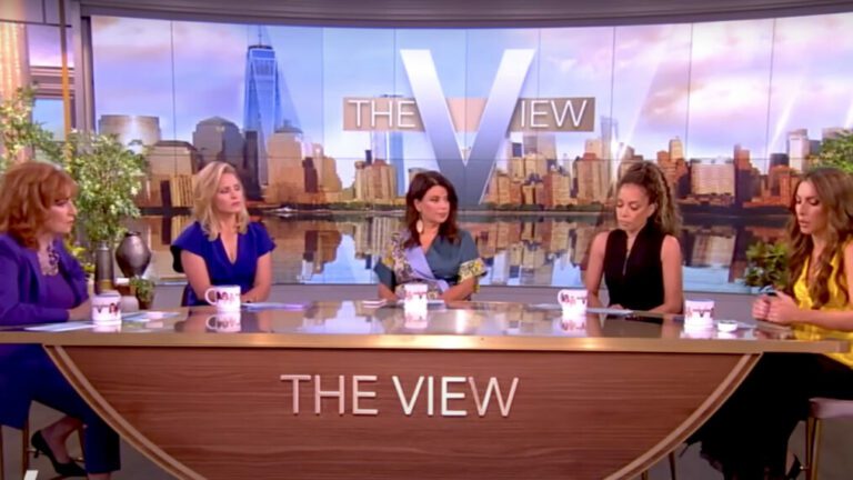 The View panel