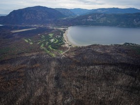 Des arbres brûlés par l'incendie de forêt de Bush Creek East sont visibles au-dessus du lac Little Shuswap à Squilax, en Colombie-Britannique, le lundi 11 septembre 2023.