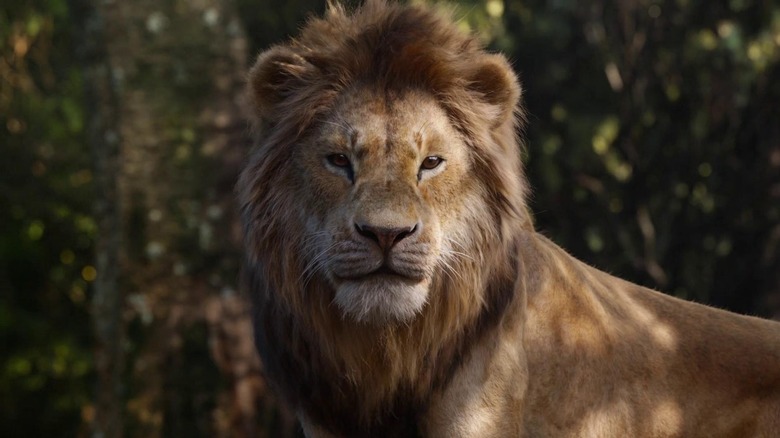 Le Roi Lion 2019 Simba