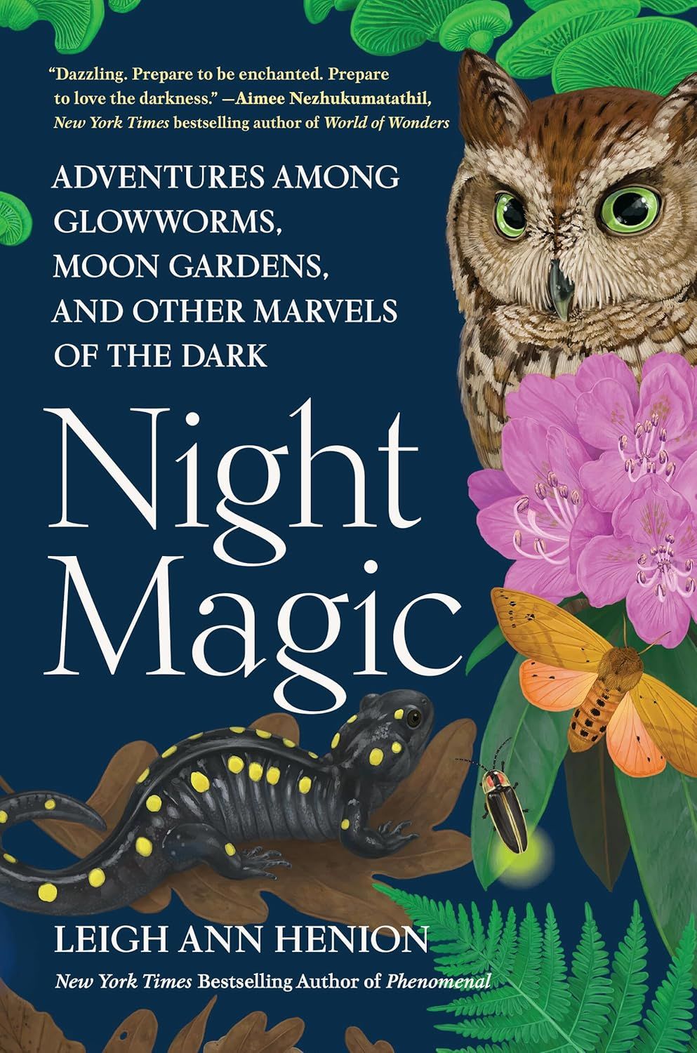 un graphique d'une couverture de Night Magic: Adventures Among Glowworms, Moon Gardens, and Other Marvels of the Dark de Leigh Ann Henion