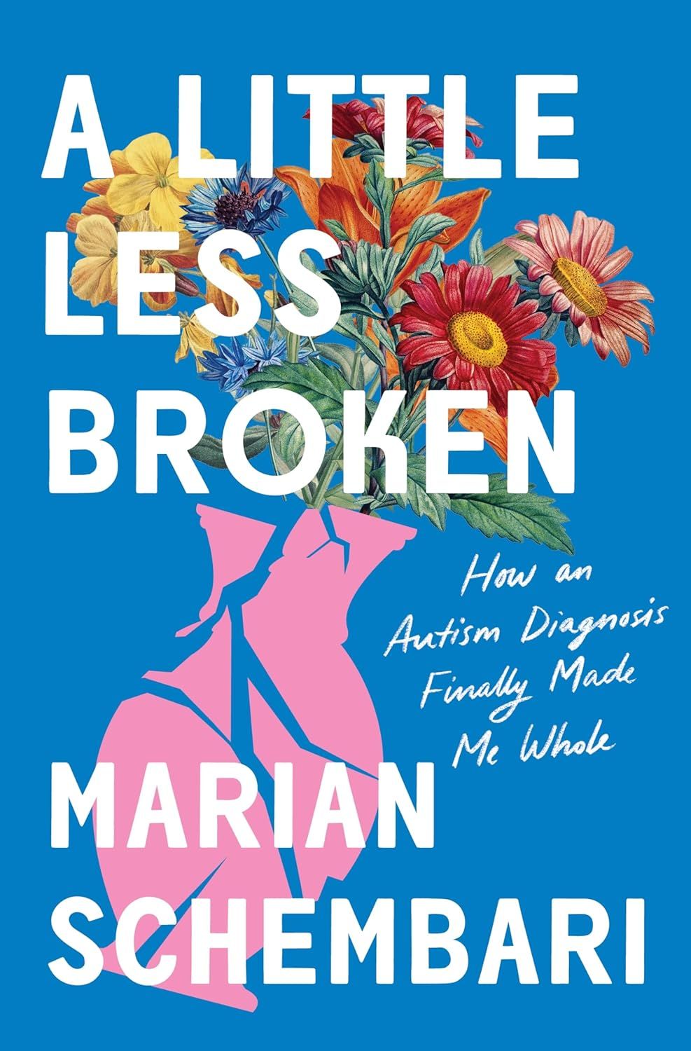 un graphique de la couverture de A Little Less Broken