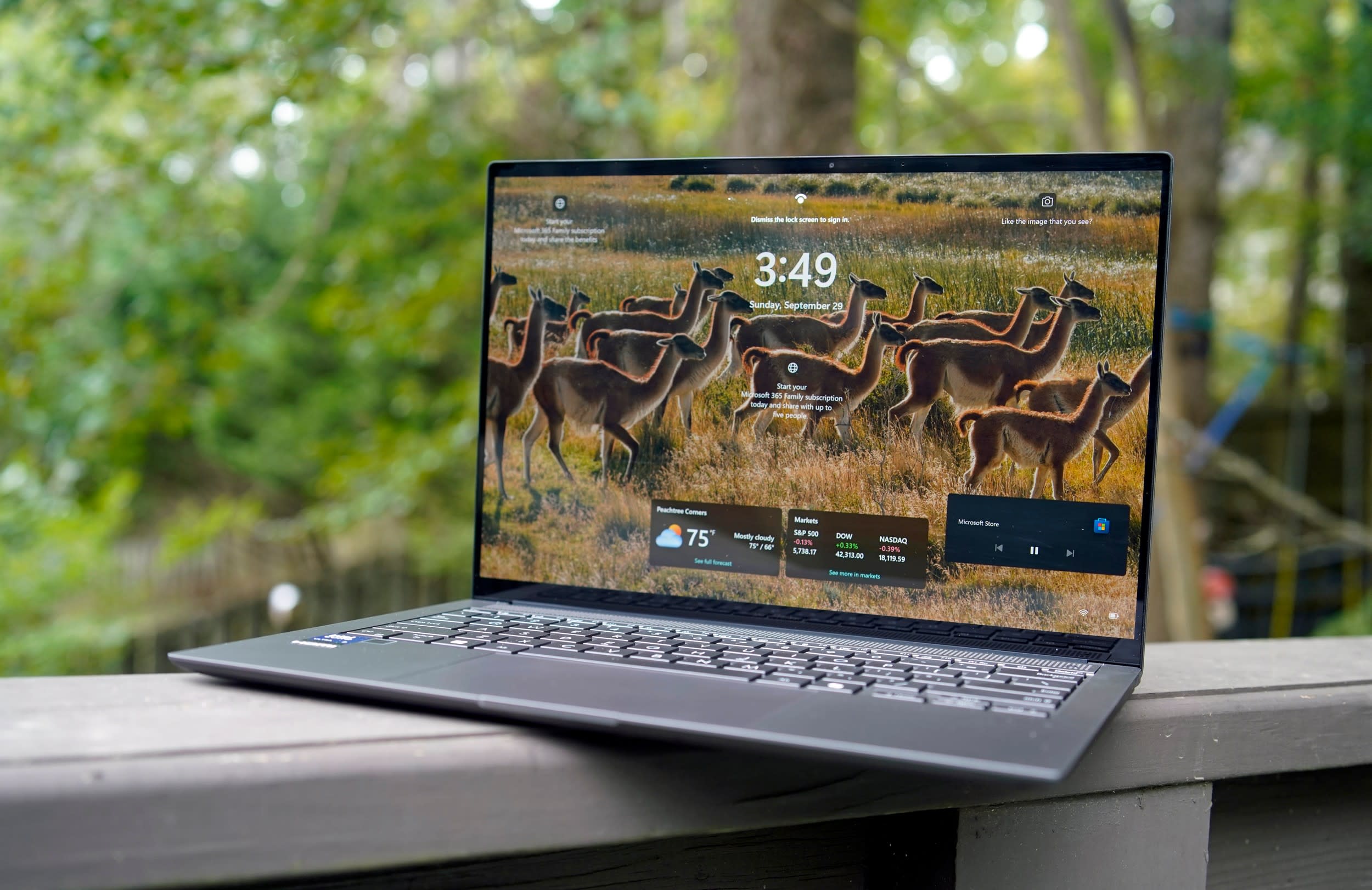 ASUS Zenbook S 14 (2024) affichant l'écran de connexion Windows 11