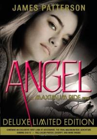 Angel : Un roman de Maximum Ride