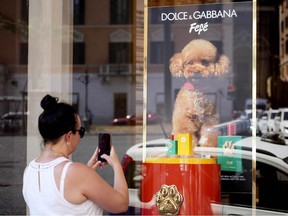 Le nouveau parfum pour chien de Dolce et Gabbana appelé "Féfé" en l'honneur du chien de Domenico Dolce et sorti plus tôt ce mois-ci est exposé sur la vitrine de la boutique de la marque de mode à Rome, mardi 6 août 2024. Le parfum a été certifié adapté à l'usage animal selon le protocole italien « Safe Pet Cosmetics », mais tous les vétérinaires ne sont pas d'accord avec l'utilisation de parfums pour chiens, car ils pourraient interférer avec leur odorat et masquer les mauvaises odeurs qui pourraient être le symptôme de diverses maladies.