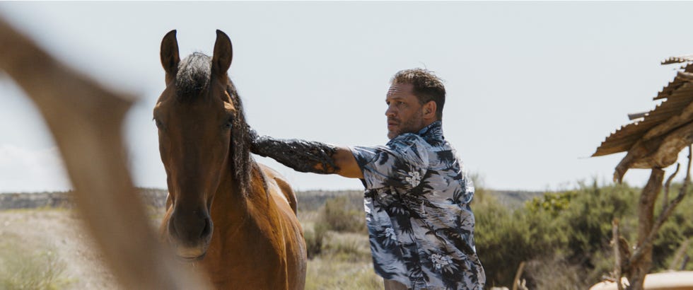 Tom Hardy, Venom, la dernière danse