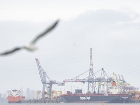 Les navires sont amarrés au port de Montréal, le mardi 19 septembre 2023. Les dockers ont entamé lundi un arrêt de travail de trois jours au port.