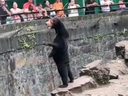 Capture d'écran d'une vidéo publiée en ligne d'un ours au zoo de Hangzhou en Chine.