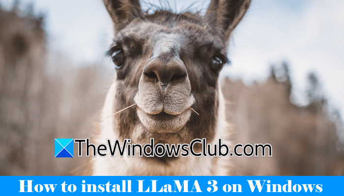 Comment installer LLaMA 3 sur un PC Windows 11 ?