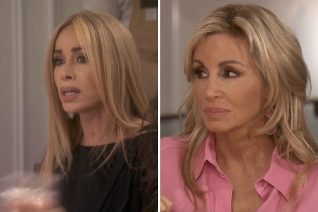 Camille et Faye font leur retour lors de la saison 14 de RHOBH, avec une autre surprise du passé de Bravo.