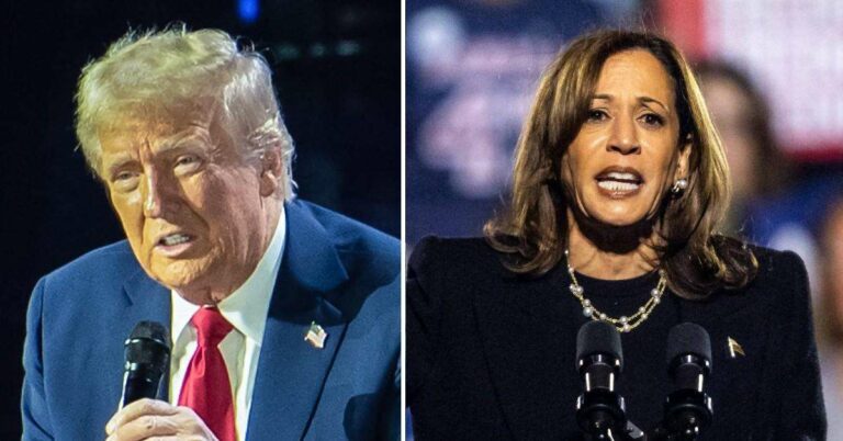 Investisseurs en Ébullition : Kamala Harris Prend de l'Avance sur Donald Trump dans un Sondage Surprise, Perturbant le Marché Électoral