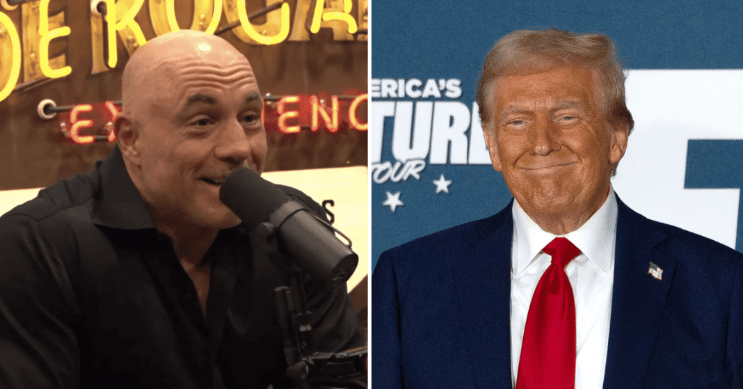 Comment la stratégie de Trump avec les podcasteurs anti-woke, comme Joe Rogan, a boosté son élection grâce au soutien des électeurs masculins