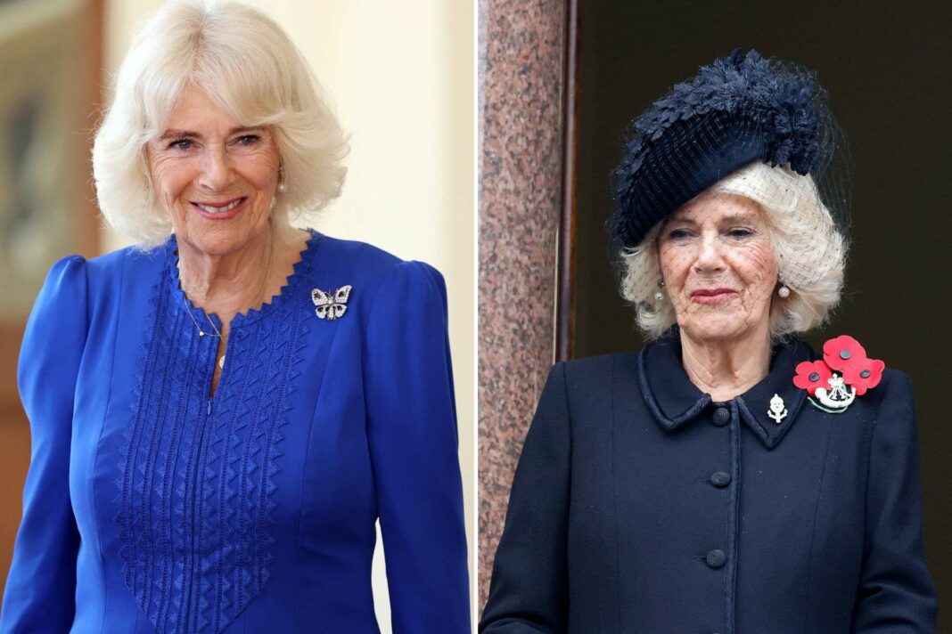 Camilla, la reine, absente des commémorations ce week-end en raison de sa convalescence après une infection thoracique.