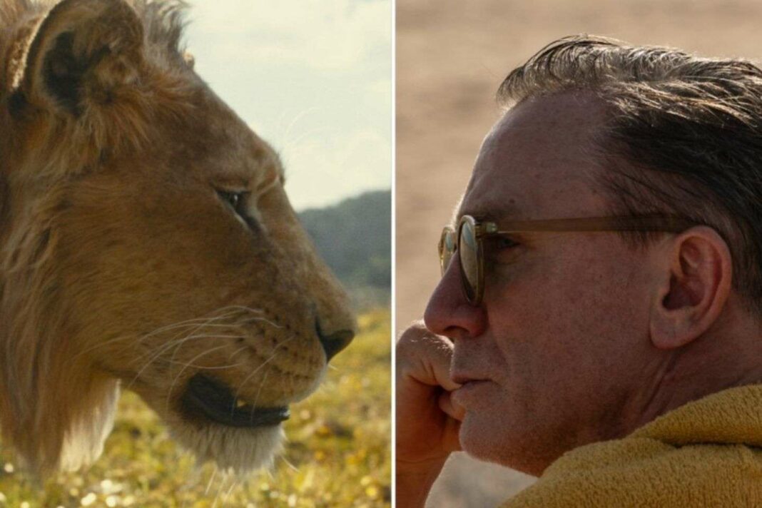 Rois des lions : Les films incontournables à découvrir en décembre