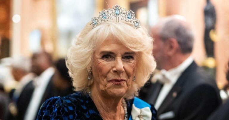 La reine Camilla évoque sa fatigue post-maladie tout en s'engageant contre la violence domestique.