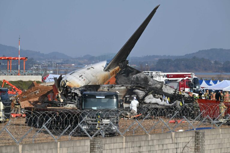 Un oiseau serait-il responsable du crash d'un avion en Corée du Sud ? Les experts s'interrogent.